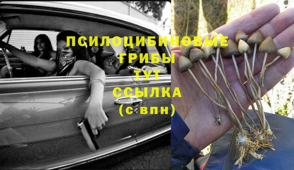 соль ск Абаза