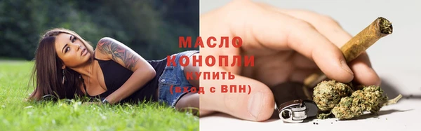 хмурый Гусь-Хрустальный