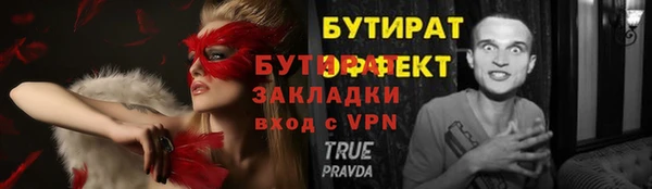 индика Гусев