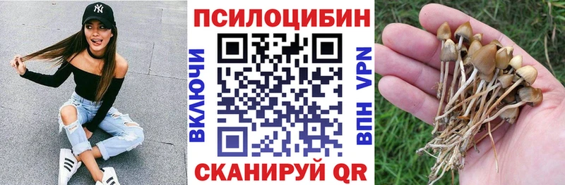 кракен как войти  Северодвинск  Галлюциногенные грибы мухоморы 
