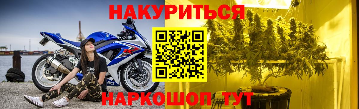 Бошки Шишки сатива Северодвинск